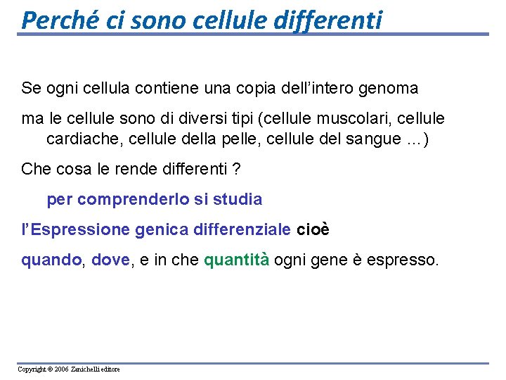 Perché ci sono cellule differenti Se ogni cellula contiene una copia dell’intero genoma ma