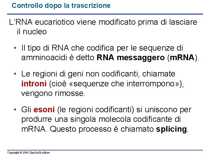 Controllo dopo la trascrizione L’RNA eucariotico viene modificato prima di lasciare il nucleo •