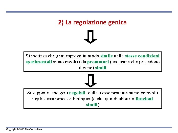 2) La regolazione genica Si ipotizza che geni espressi in modo simile nelle stesse