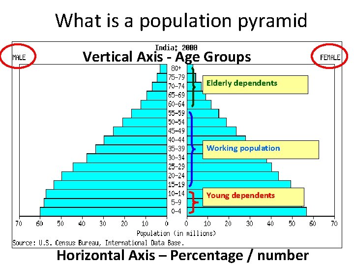 What is a population pyramid Vertical Axis - Age Groups Elderly dependents Working population