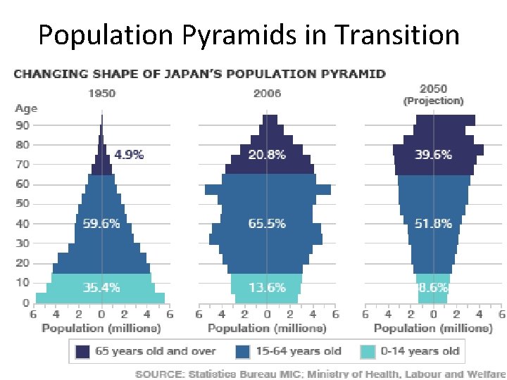 Population Pyramids in Transition 