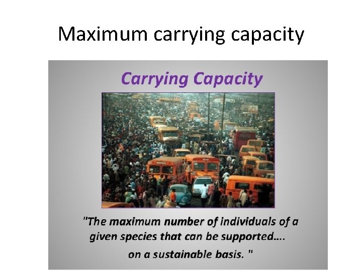Maximum carrying capacity 
