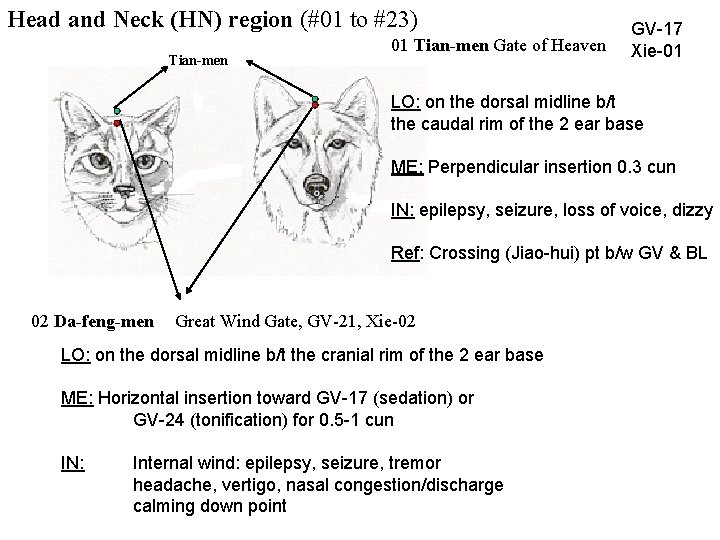 Head and Neck (HN) region (#01 to #23) Tian-men 01 Tian-men Gate of Heaven