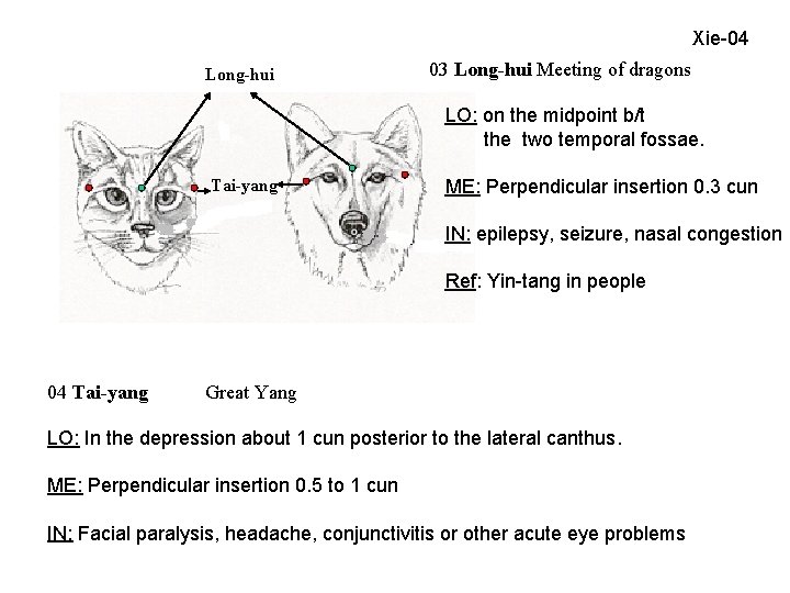 Xie-04 Long-hui 03 Long-hui Meeting of dragons LO: on the midpoint b/t the two