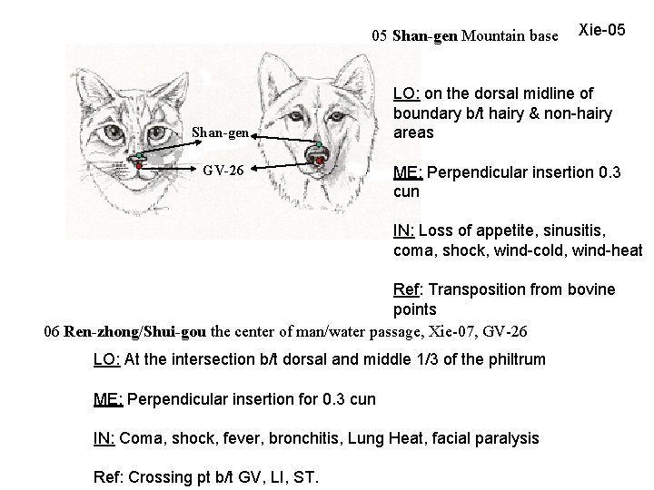 05 Shan-gen Mountain base Shan-gen GV-26 Xie-05 LO: on the dorsal midline of boundary