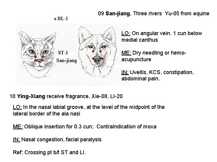 BL-1 09 San-jiang, Three rivers Yu-05 from equine LO: On angular vein. 1 cun