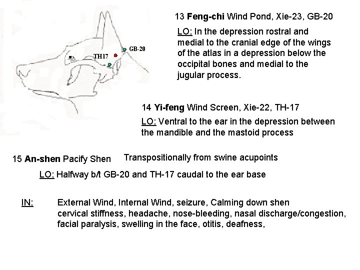 13 Feng-chi Wind Pond, Xie-23, GB-20 TH 17 LO: In the depression rostral and
