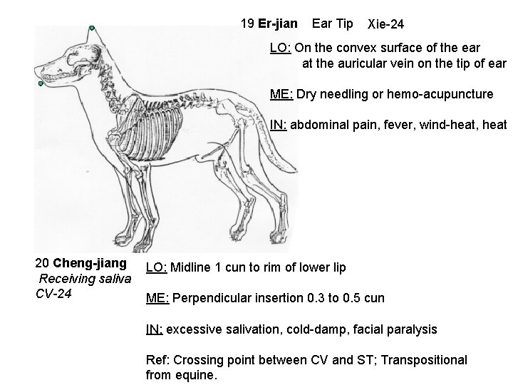 19 Er-jian Ear Tip Xie-24 LO: On the convex surface of the ear at