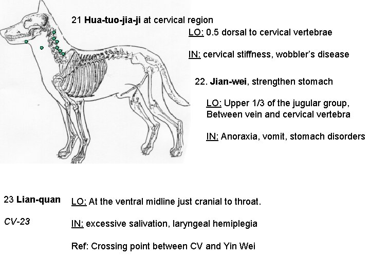 21 Hua-tuo-jia-ji at cervical region LO: 0. 5 dorsal to cervical vertebrae IN: cervical