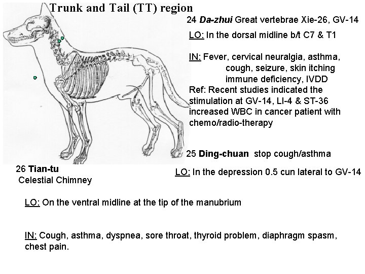 Trunk and Tail (TT) region 24 Da-zhui Great vertebrae Xie-26, GV-14 LO: In the