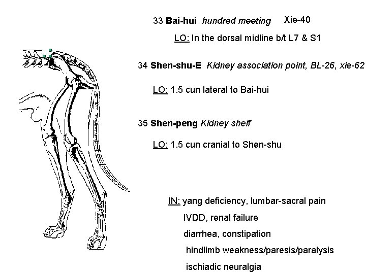 33 Bai-hui hundred meeting Xie-40 LO: In the dorsal midline b/t L 7 &