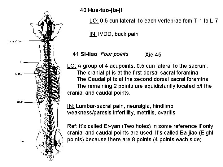 40 Hua-tuo-jia-ji LO: 0. 5 cun lateral to each vertebrae fom T-1 to L-7