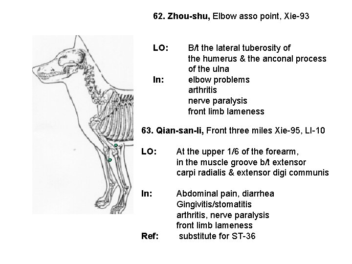 62. Zhou-shu, Elbow asso point, Xie-93 LO: In: B/t the lateral tuberosity of the