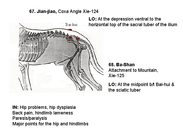 67. Jian-jiao, Coxa Angle Xie-124 Bai-hui LO: At the depression ventral to the horizontal