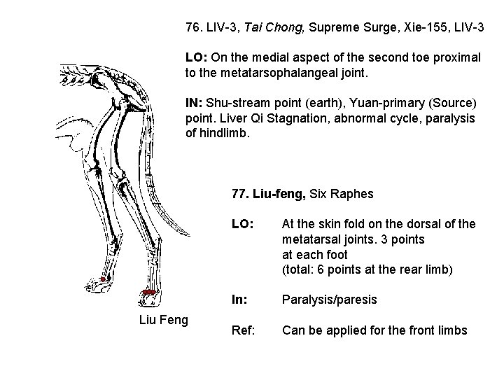 76. LIV-3, Tai Chong, Supreme Surge, Xie-155, LIV-3 LO: On the medial aspect of