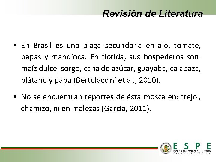 Revisión de Literatura • En Brasil es una plaga secundaria en ajo, tomate, papas