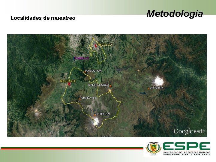 Localidades de muestreo Metodología 