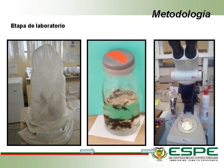 Metodología Etapa de laboratorio 