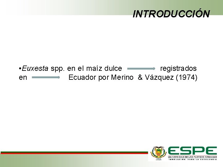 INTRODUCCIÓN • Euxesta spp. en el maíz dulce registrados en Ecuador por Merino &