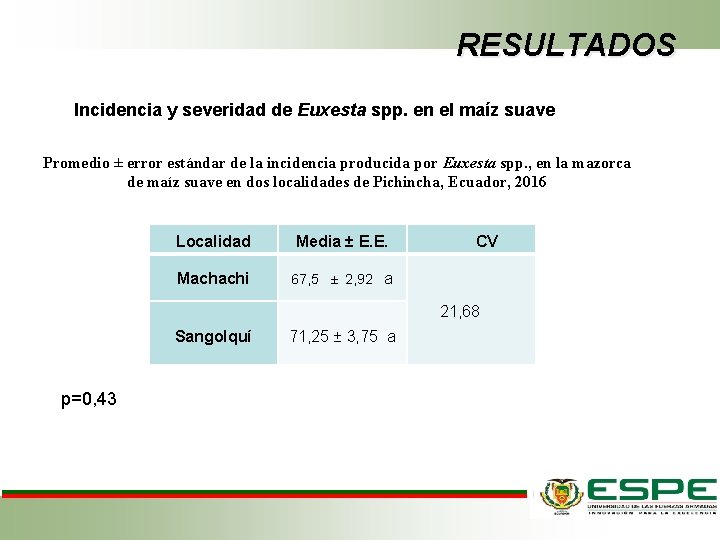 RESULTADOS Incidencia y severidad de Euxesta spp. en el maíz suave Promedio ± error