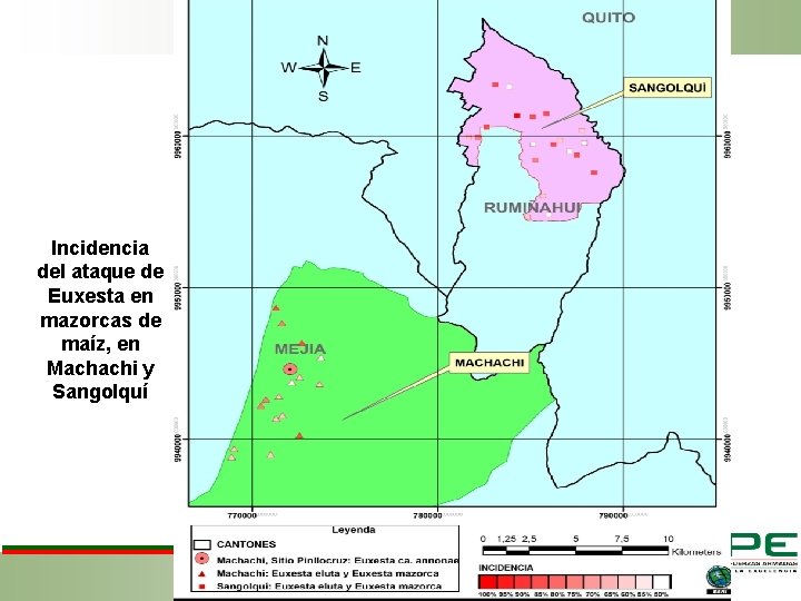 Incidencia del ataque de Euxesta en mazorcas de maíz, en Machachi y Sangolquí 