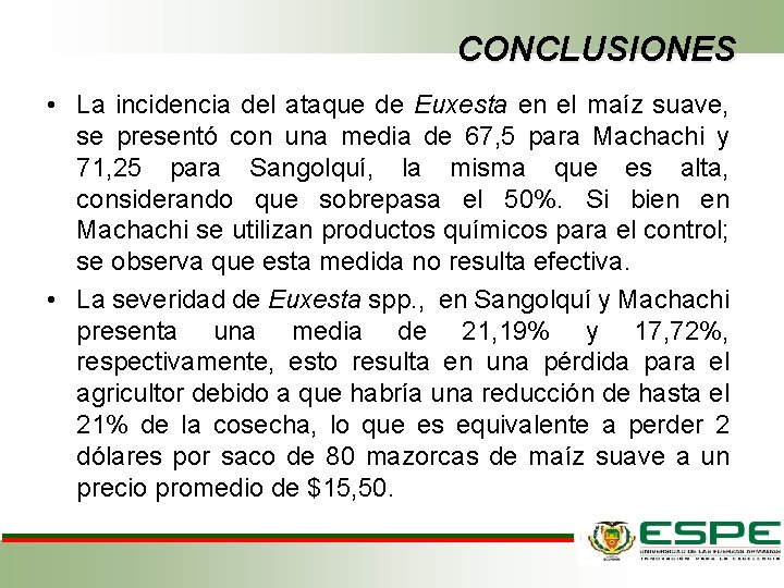 CONCLUSIONES • La incidencia del ataque de Euxesta en el maíz suave, se presentó