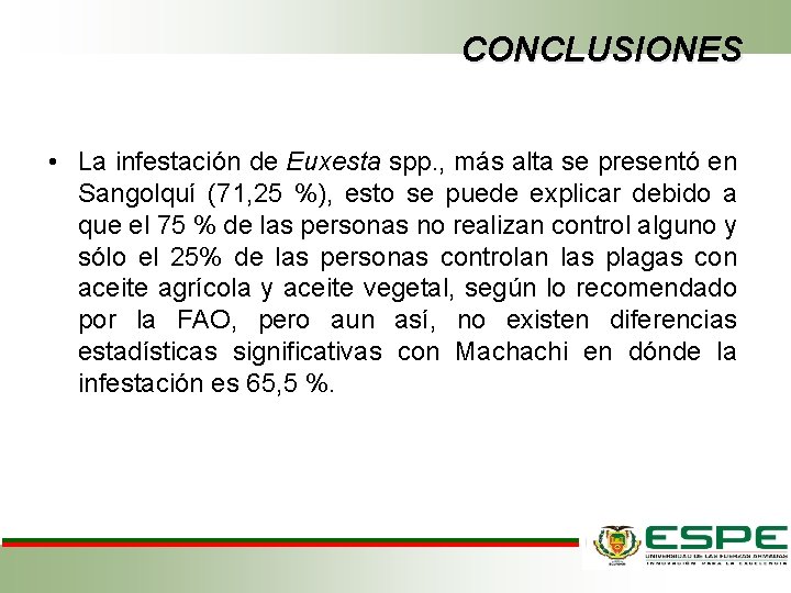 CONCLUSIONES • La infestación de Euxesta spp. , más alta se presentó en Sangolquí