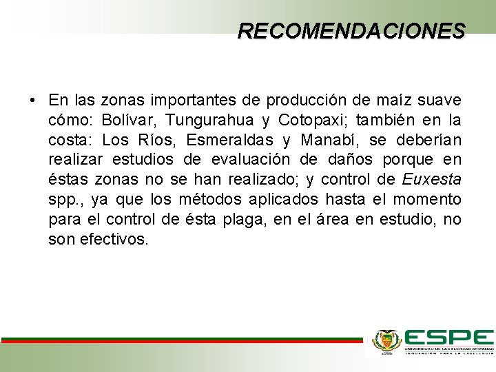 RECOMENDACIONES • En las zonas importantes de producción de maíz suave cómo: Bolívar, Tungurahua