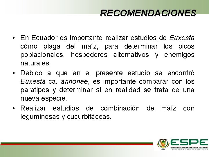 RECOMENDACIONES • En Ecuador es importante realizar estudios de Euxesta cómo plaga del maíz,