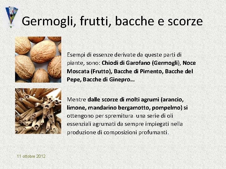 Germogli, frutti, bacche e scorze Esempi di essenze derivate da queste parti di piante, Germogli, frutti, bacche e scorze Esempi di essenze derivate da queste parti di piante,