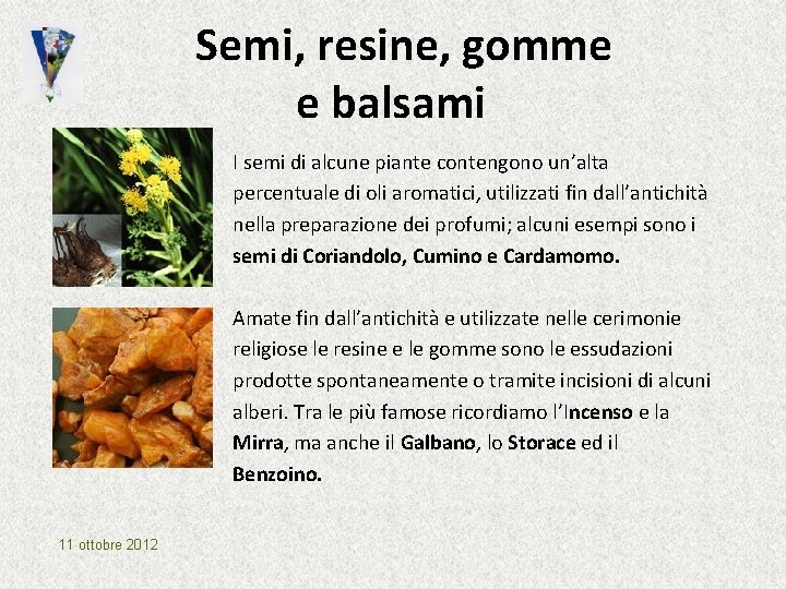 Semi, resine, gomme e balsami I semi di alcune piante contengono un’alta percentuale di Semi, resine, gomme e balsami I semi di alcune piante contengono un’alta percentuale di
