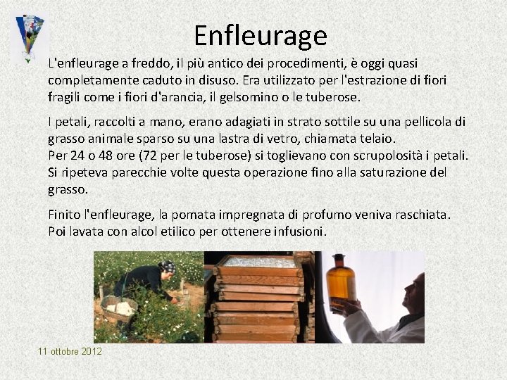 Enfleurage L'enfleurage a freddo, il più antico dei procedimenti, è oggi quasi completamente caduto Enfleurage L'enfleurage a freddo, il più antico dei procedimenti, è oggi quasi completamente caduto