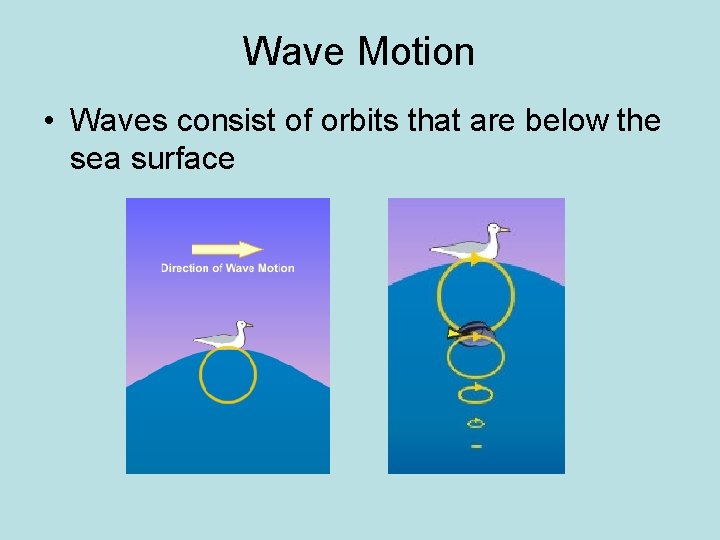 Wave Motion • Waves consist of orbits that are below the sea surface 