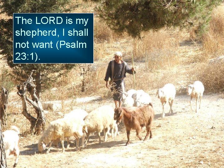 The LORD is my shepherd, I shall not want (Psalm 23: 1). 