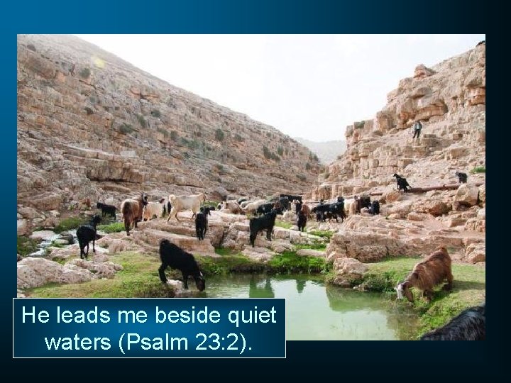 He leads me beside quiet waters (Psalm 23: 2). 