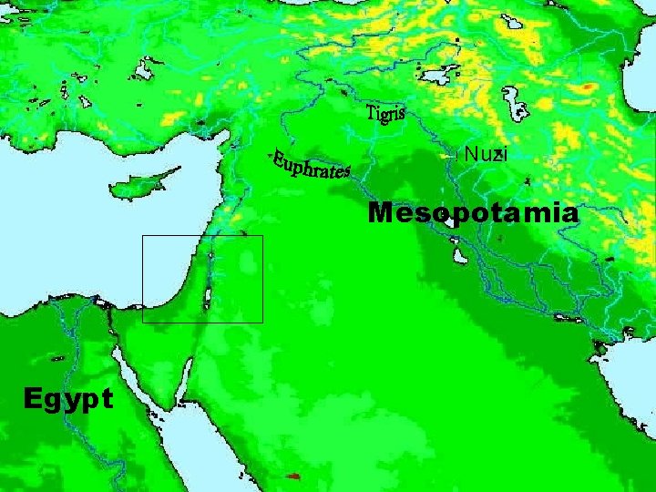 ! Nuzi Mesopotamia Egypt 