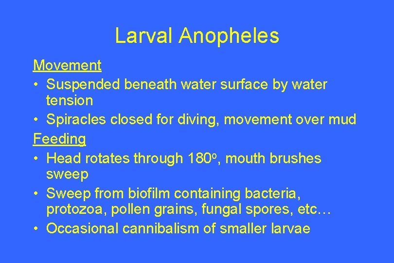 Larval Anopheles Movement • Suspended beneath water surface by water tension • Spiracles closed