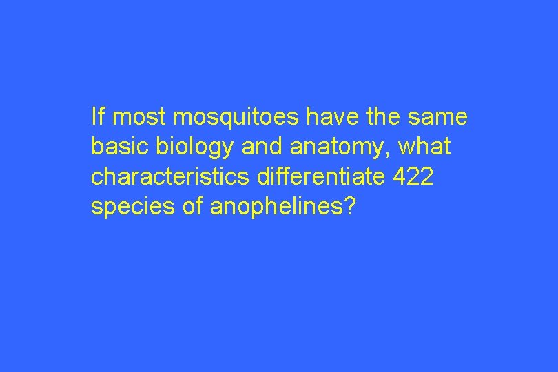 If most mosquitoes have the same basic biology and anatomy, what characteristics differentiate 422