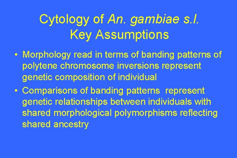 Cytology of An. gambiae s. l. Key Assumptions • Morphology read in terms of