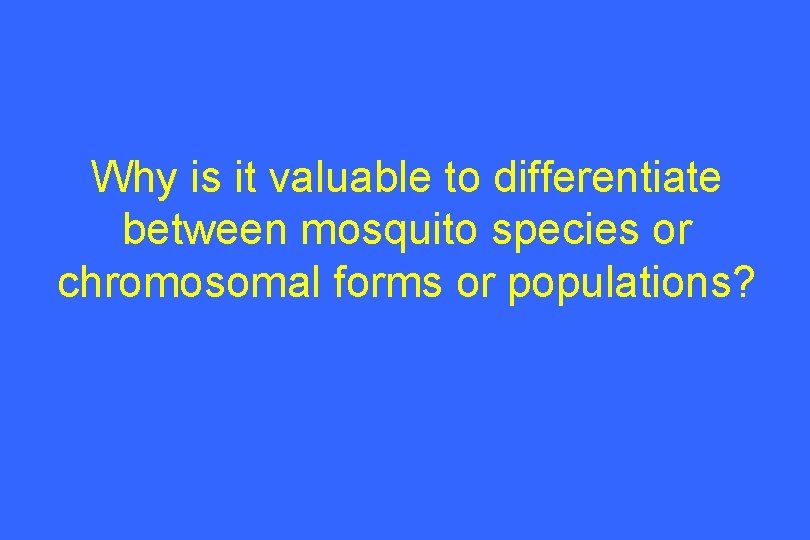 Why is it valuable to differentiate between mosquito species or chromosomal forms or populations?