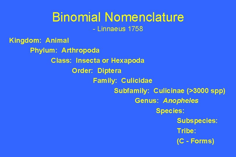 Binomial Nomenclature - Linnaeus 1758 Kingdom: Animal Phylum: Arthropoda Class: Insecta or Hexapoda Order: