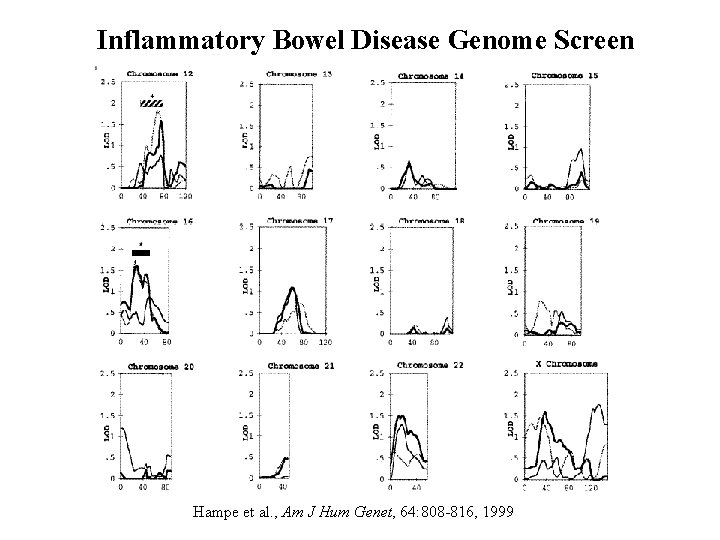 Inflammatory Bowel Disease Genome Screen Hampe et al. , Am J Hum Genet, 64: