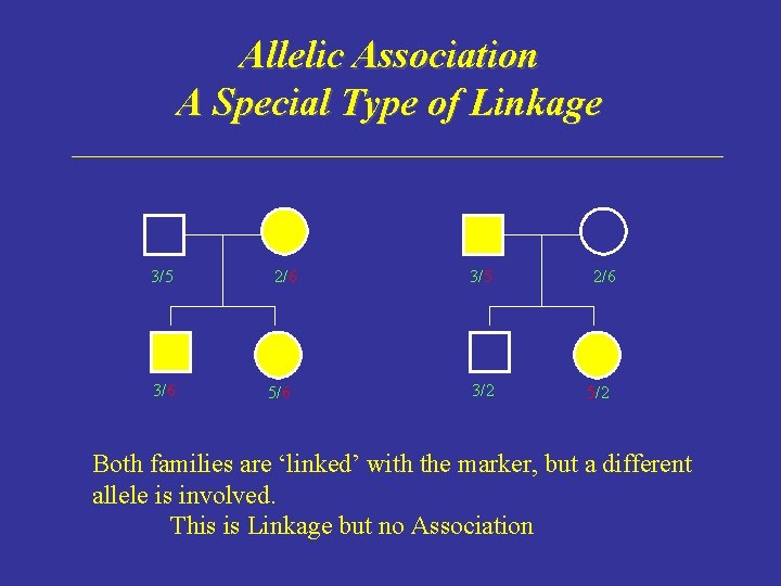 Allelic Association A Special Type of Linkage 3/5 3/6 2/6 5/6 3/5 3/2 2/6