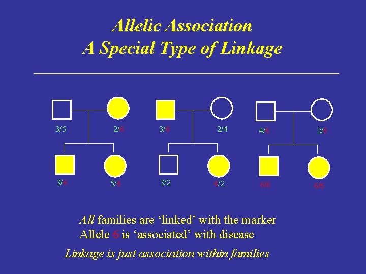 Allelic Association A Special Type of Linkage 3/5 3/6 2/6 5/6 3/2 2/4 6/2