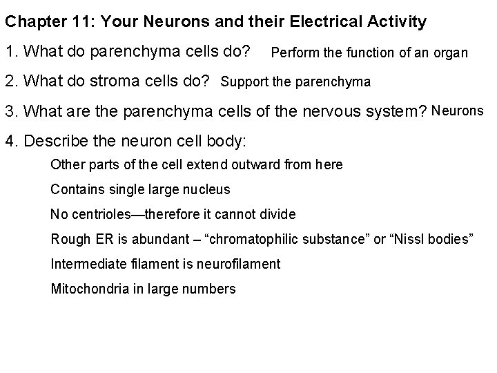 Chapter 11: Your Neurons and their Electrical Activity 1. What do parenchyma cells do?