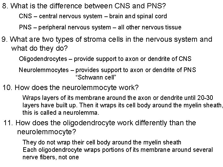 8. What is the difference between CNS and PNS? CNS – central nervous system