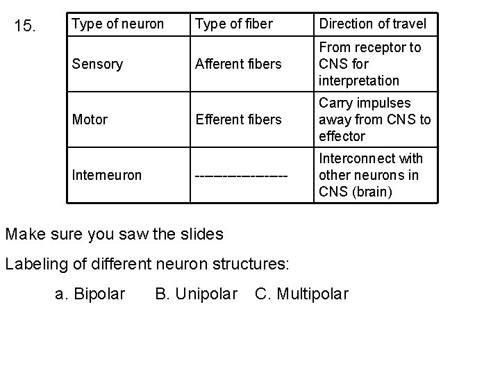 15. Type of neuron Sensory Motor Interneuron Type of fiber Direction of travel Afferent