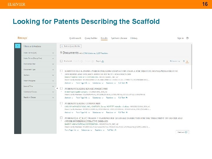 16 Looking for Patents Describing the Scaffold 