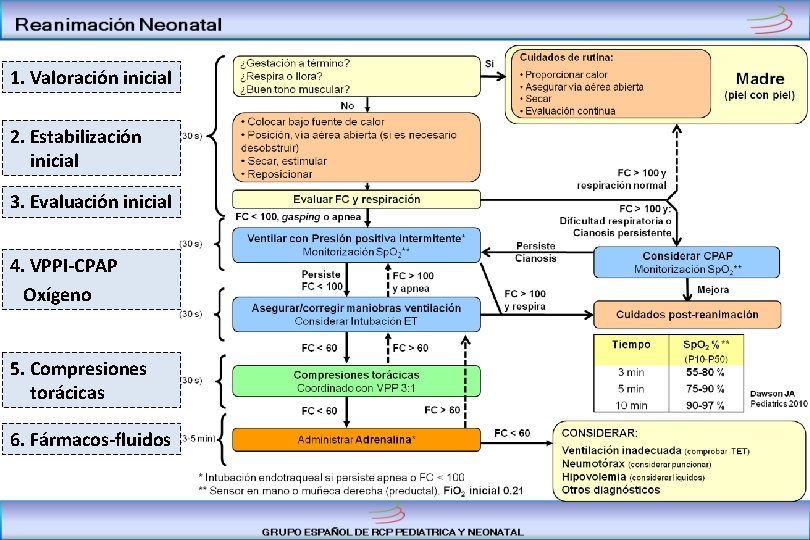 1. Valoración inicial 2. Estabilización inicial 3. Evaluación inicial 4. VPPI-CPAP Oxígeno 5. Compresiones