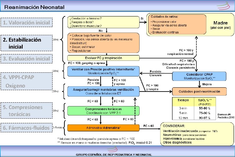 1. Valoración inicial 2. Estabilización inicial 3. Evaluación inicial 4. VPPI-CPAP Oxígeno 5. Compresiones